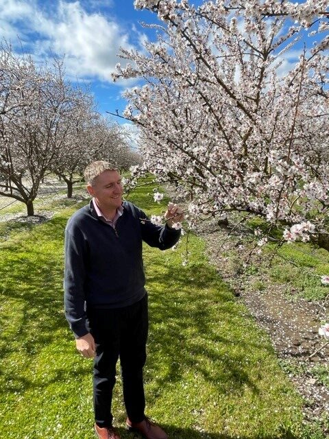 Declan with Almond Tree